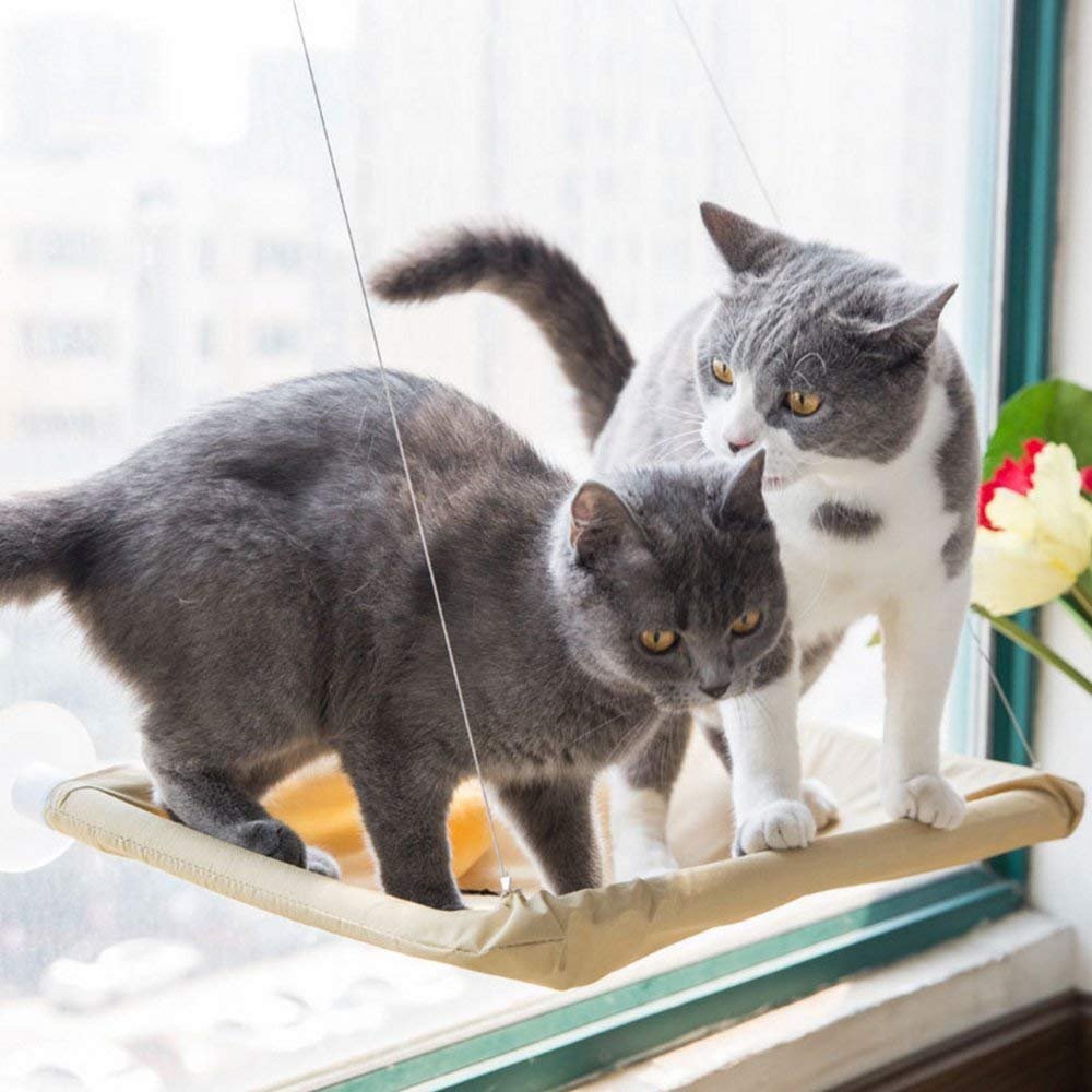 Hamaca de gatos para ventana